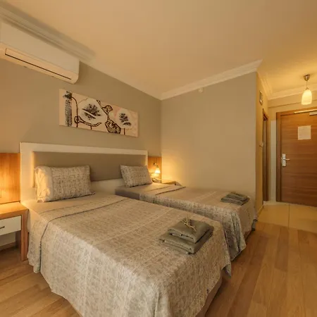 Novis Cleopatra 3*