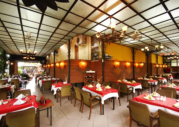 ビルケイ ホテル 3* アランヤ