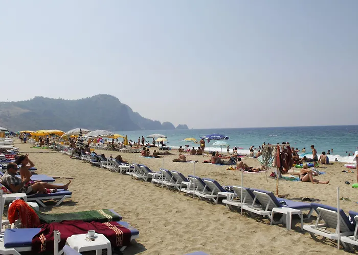 ホテル ビルケイ ホテル 3*