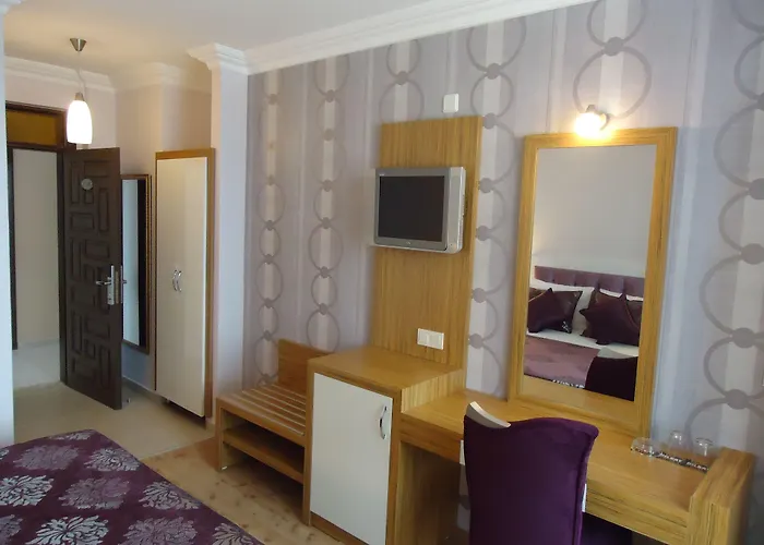 ビルケイ ホテル 3* アランヤ